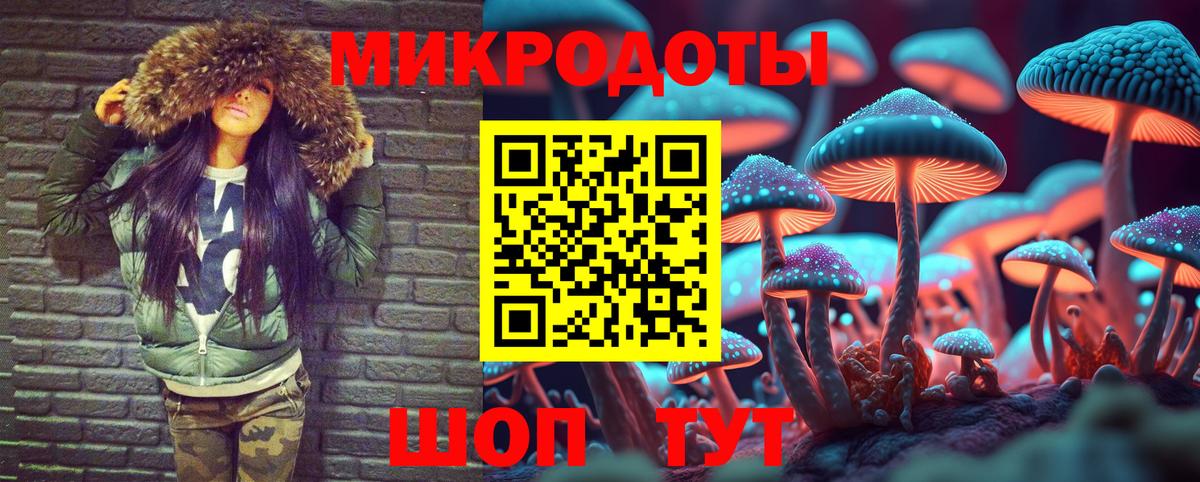 Галлюциногенные грибы GOLDEN TEACHER  Вход с VPN  Нарткала  Галлюциногенные грибы мухоморы 